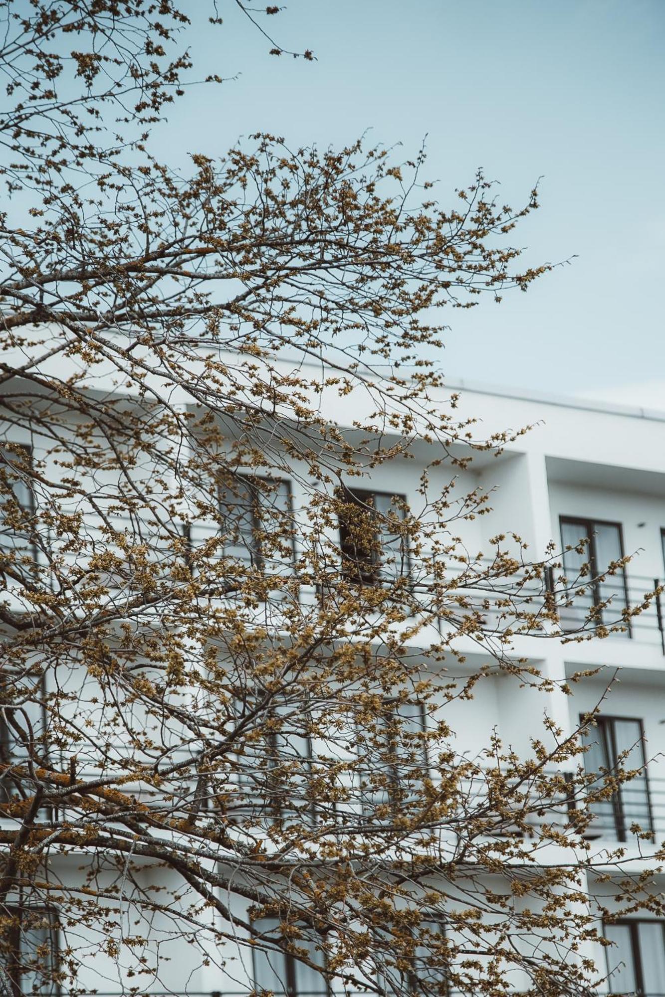 Oe Seaside Suites & Spa Kuressaare Bagian luar foto